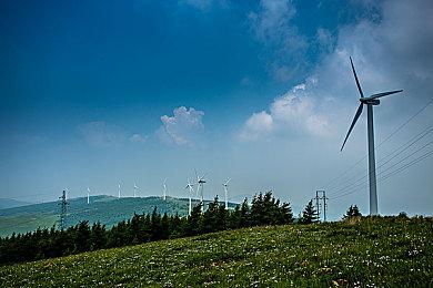 《审判之逝：湮灭的记忆》游戏情报 丰富的支线案件